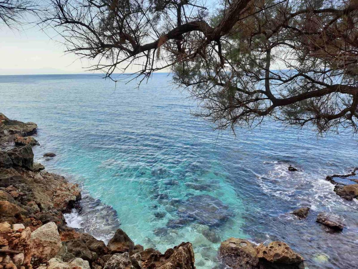 New Sea Escape Boutique Apt-Agii Aposto Li Beach Χανιά Εξωτερικό φωτογραφία