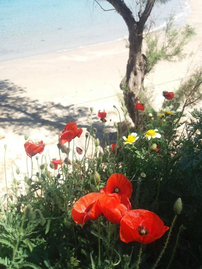 New Sea Escape Boutique Apt-Agii Aposto Li Beach Χανιά Εξωτερικό φωτογραφία